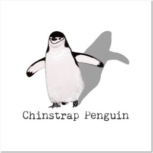 Chinstrap Penguin Labeled Posters and Art